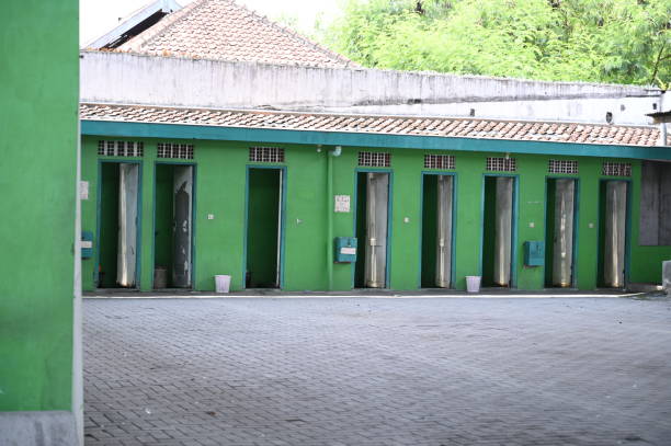 Best Affordable portable toilet rental  in Cicero, IN